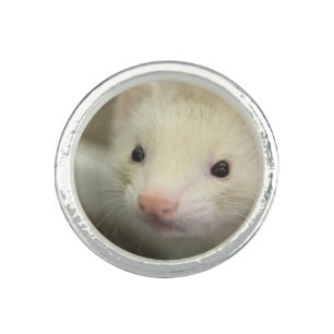 Ferret face ring
