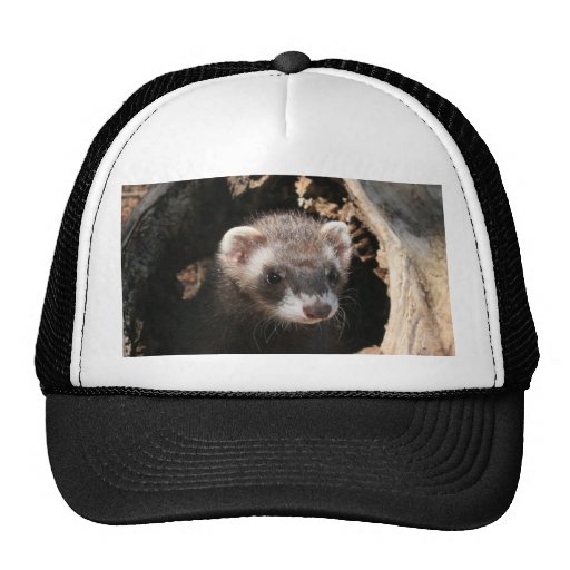 Ferret Face Trucker Hat | Zazzle