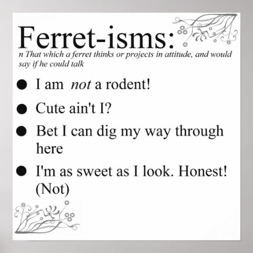 Ferret Faces Sayings and Quotes Poster