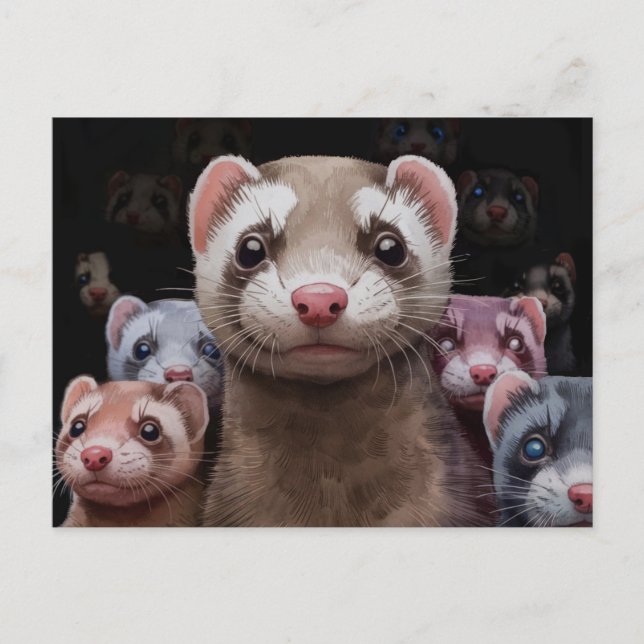 Ferret Family Postcard (Front)
