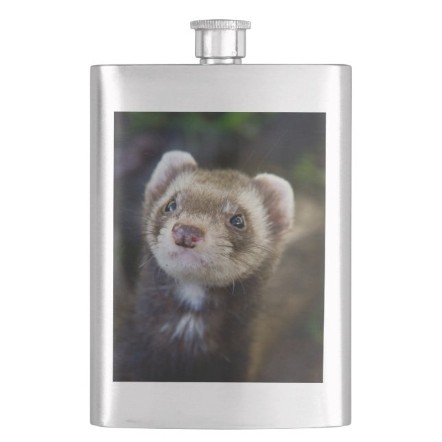 Ferret Flask (Front)