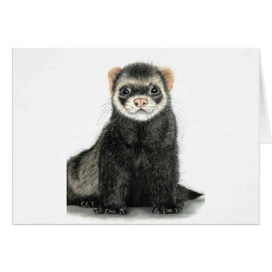 Ferret fun! cards (Front Horizontal)