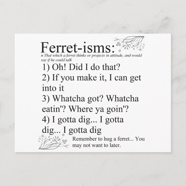 Ferret-isms & Sayings Postcard (Front)