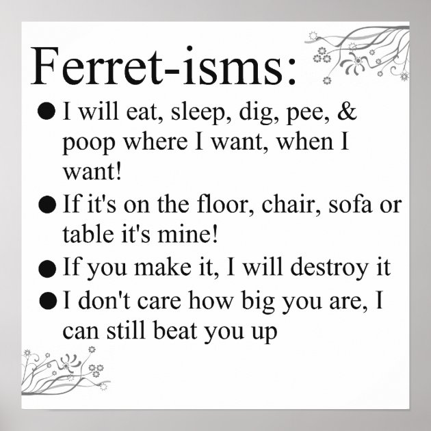 Ferret-isms & Sayings Print | Zazzle