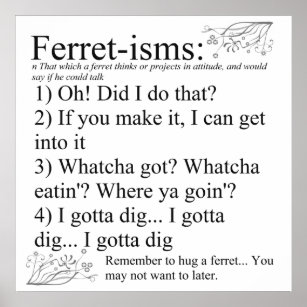 Ferret-isms & Sayings Print for Ferret Lovers