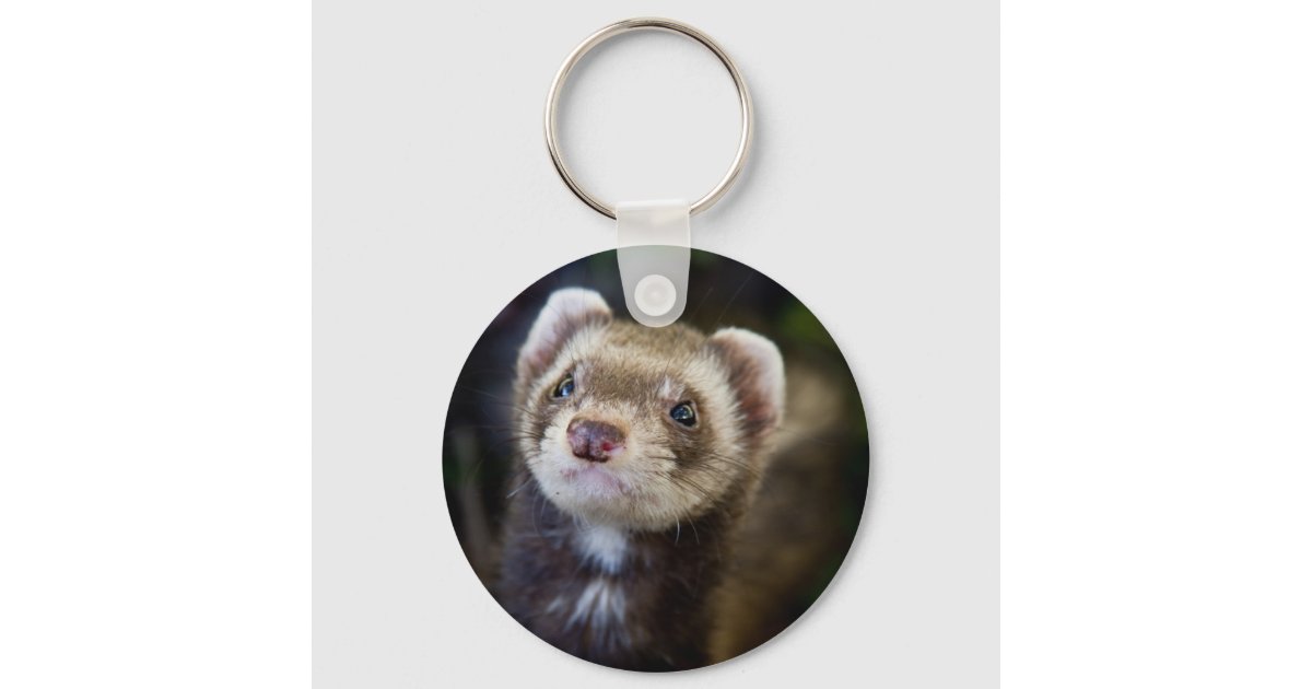Ferret Keychain Zazzle