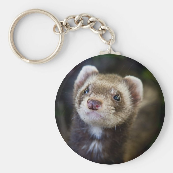 Ferret Keychain