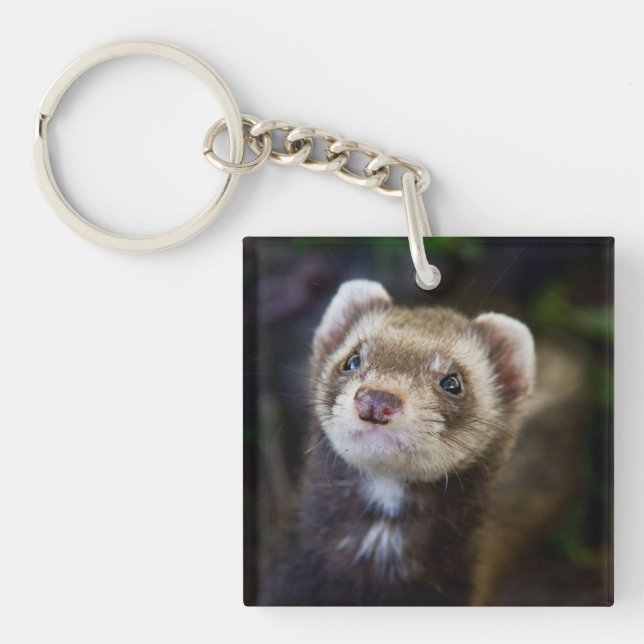 Ferret Keychain (Front)
