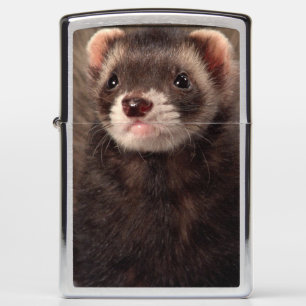 Ferret Lighter -Weasel Zippo Lighter