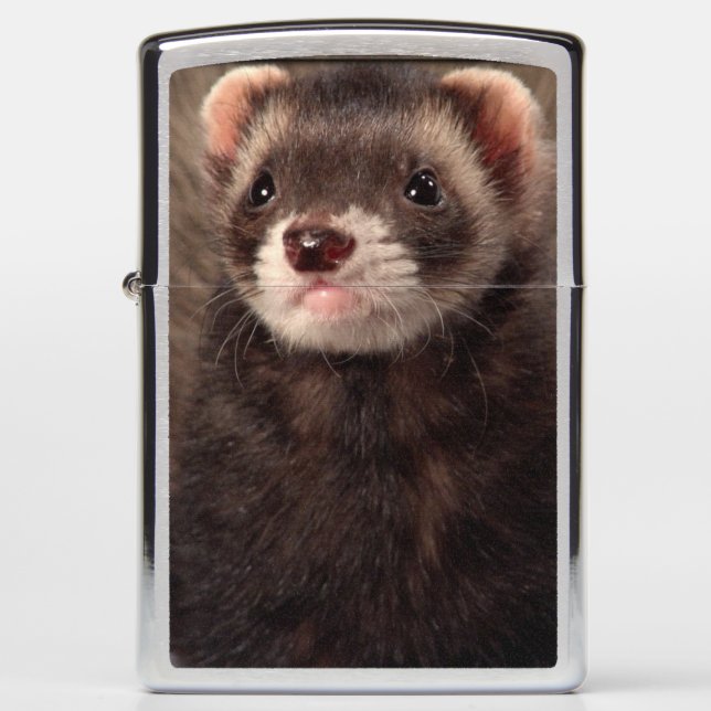 Ferret Lighter -Weasel Zippo Lighter (Front)