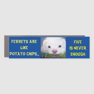 Ferret Lovers Funny Car Magnet