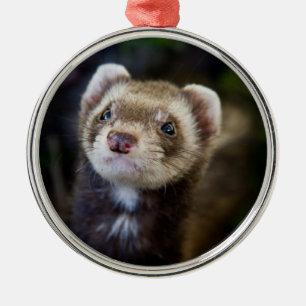 Ferret Metal Ornament