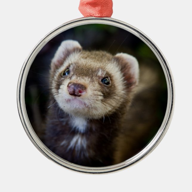 Ferret Metal Ornament (Front)