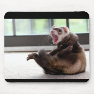 ferret mouse pad
