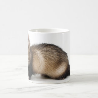 Ferret mug