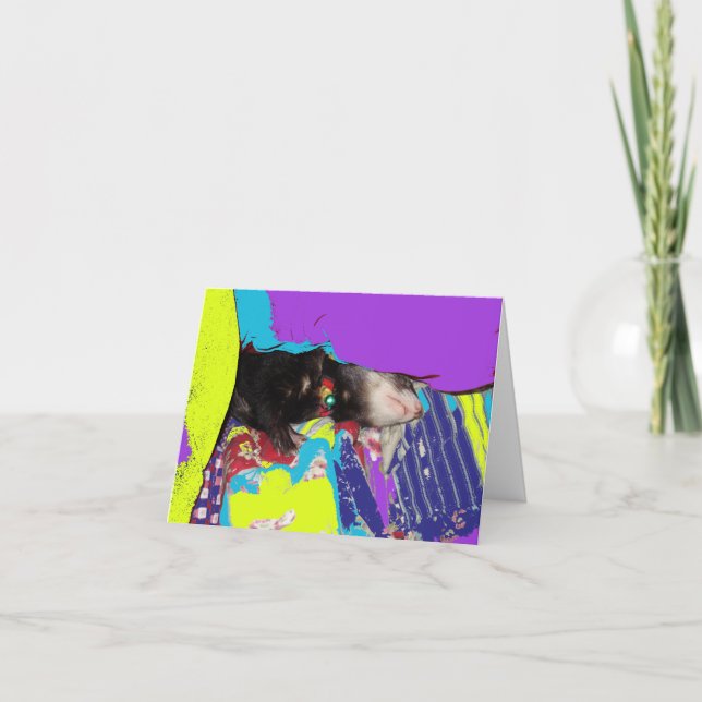 Ferret Nap Birthday Card (Front)
