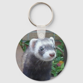 Ferret polecat keychain