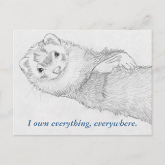 Ferret Postcard - Pandora Owns