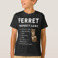 Ferret Property Laws Five Statements By Ferrets