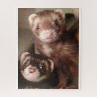 ferret puzzle