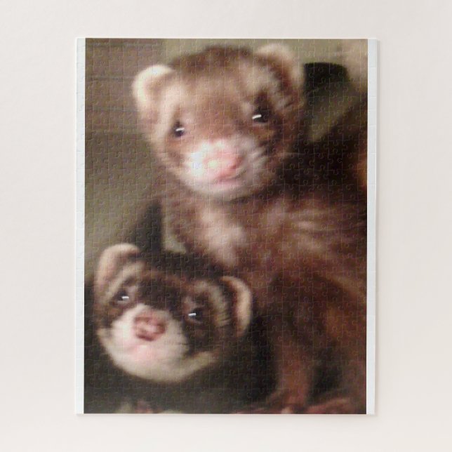 ferret puzzle (Vertical)