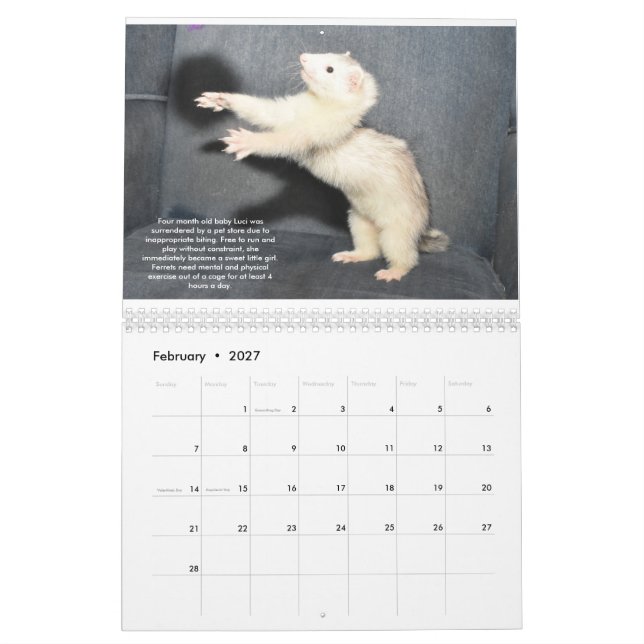 Ferret Rescue Benefit Calendar (Feb 2027)
