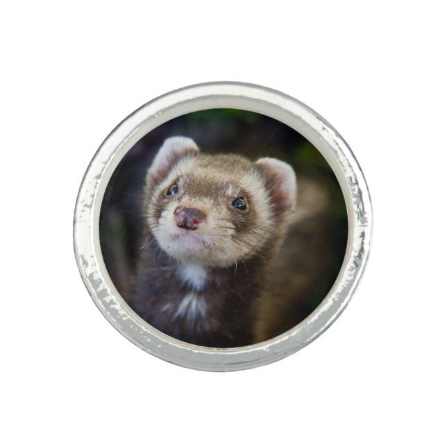 Ferret Ring (Front)