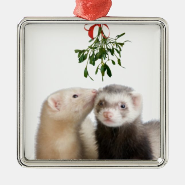 Ferret Smooches ornament (Front)