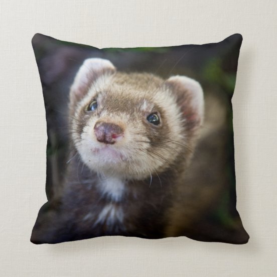 ferret body pillow