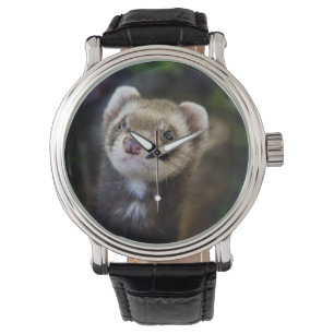 Ferret Watch