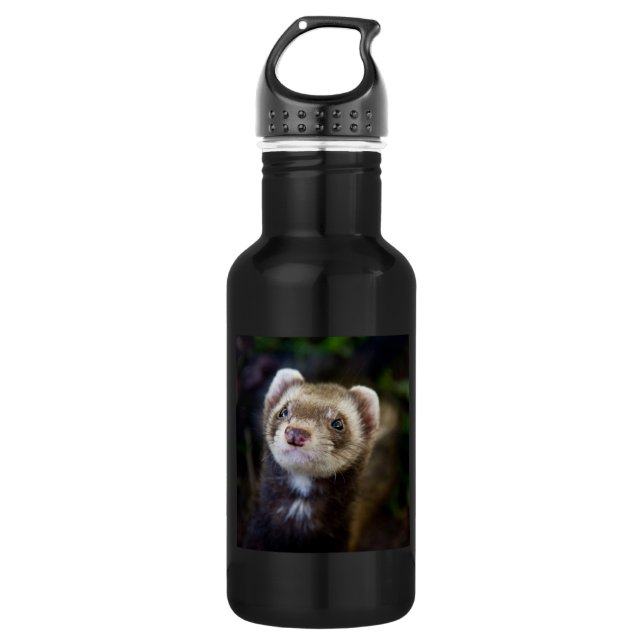 Ferret Water Bottle (Front)