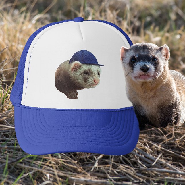 Ferret Wearing Blue Headgear Photo Trucker Hat (Ferret Wearing Blue Headgear Photo Trucker Hat)