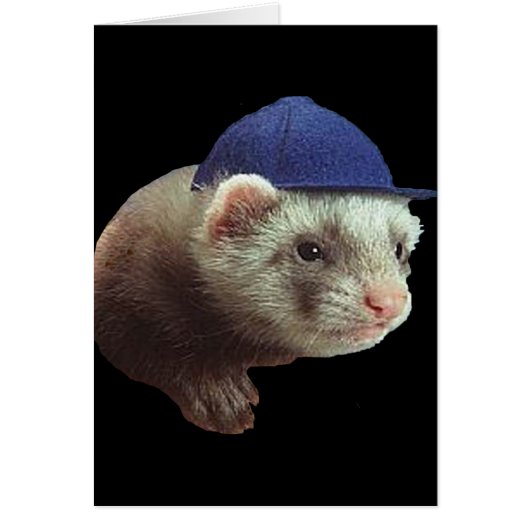 Ferret Wearing Hat Card (Front)