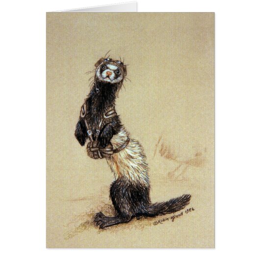 Ferretrooper Card (Front)