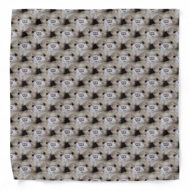 Ferrets Bandana (Front)