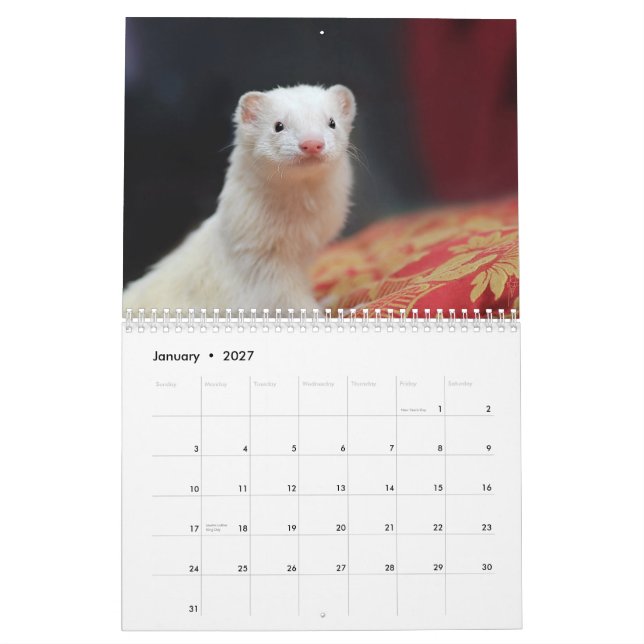 Ferrets Calendar - 4 - (Jan 2027)