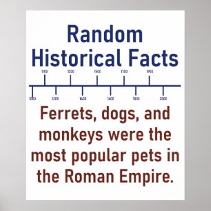 Ferrets Dogs And Monkeys - History Fact Poster