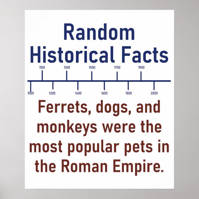 Ferrets Dogs And Monkeys  - History Fact Poster (Front)