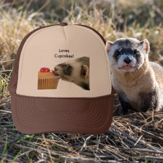 Ferrets Love Cupcakes Hat