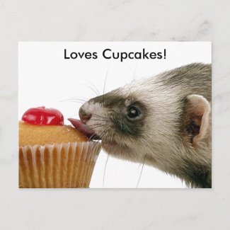 Ferrets Love Cupcakes postcard