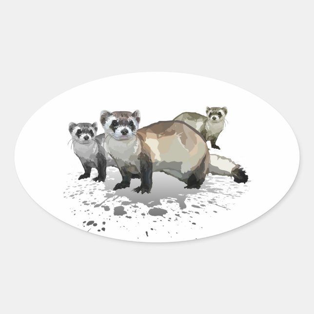 Ferrets Oval Sticker (Front)