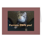 Ferrets Own You! (Front Horizontal)