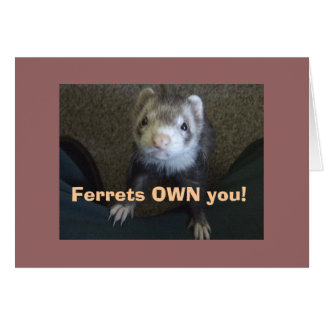 Ferrets Own You! Cards