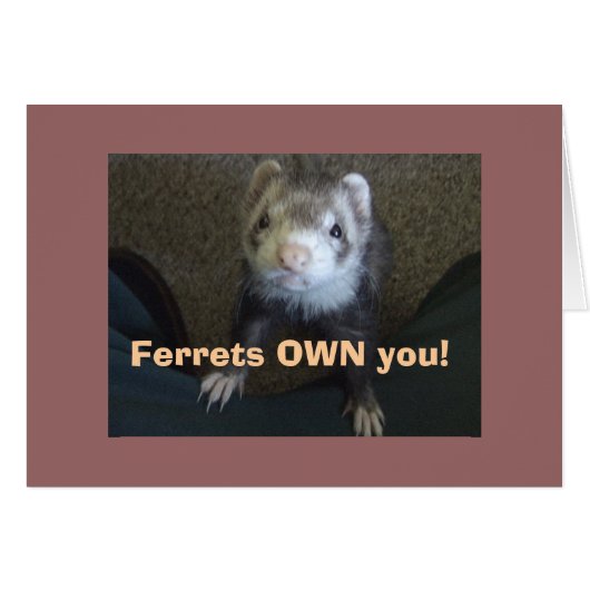 Ferrets Own You! Cards (Front Horizontal)