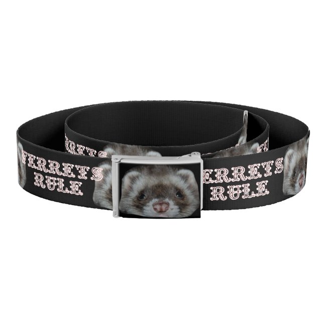 ferrets rule belt (Coil)