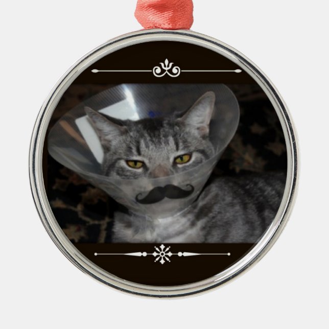 Ferris Mewler moustache ornament (Front)