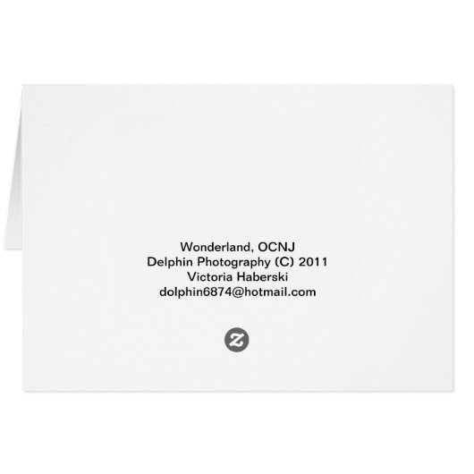 Ferris Wheel (Back Horizontal)