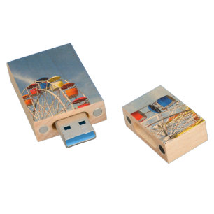 Ferris Wheel Flash Drive