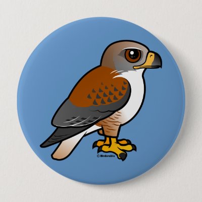 Ferruginous Hawk Pinback Button