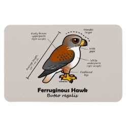 Ferruginous Hawk Statistics 4